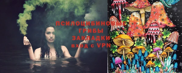 эйфоретик Белокуриха